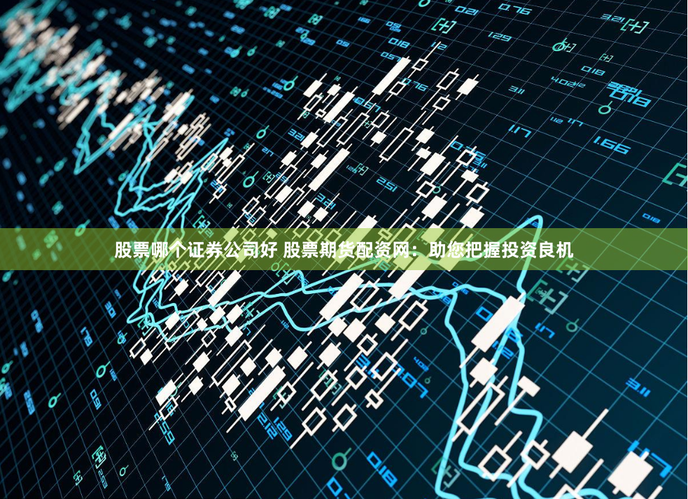 股票哪个证券公司好 股票期货配资网：助您把握投资良机